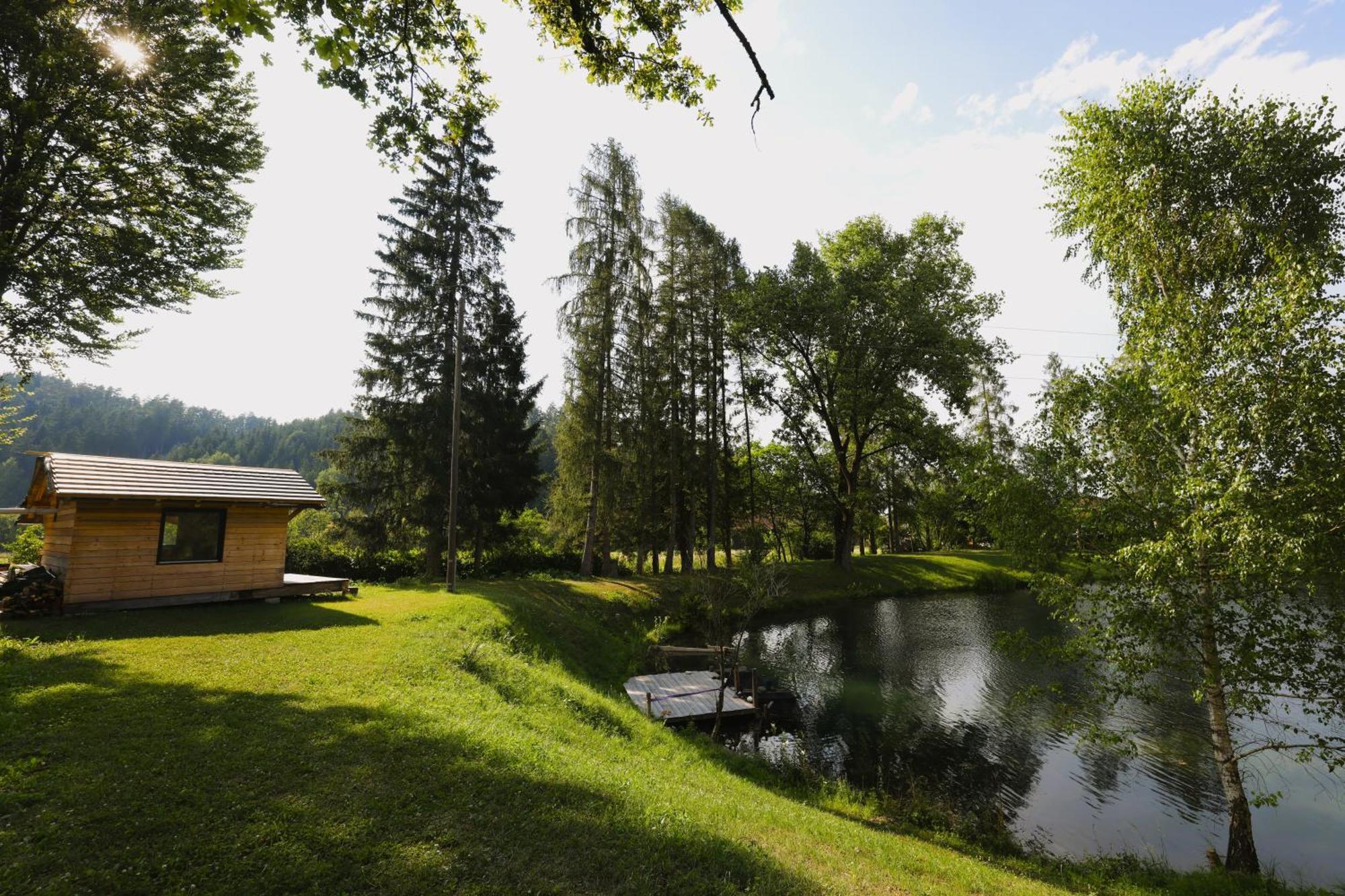 Апартаменти Haus Am Fischteich Feistritz ob Bleiburg Екстер'єр фото