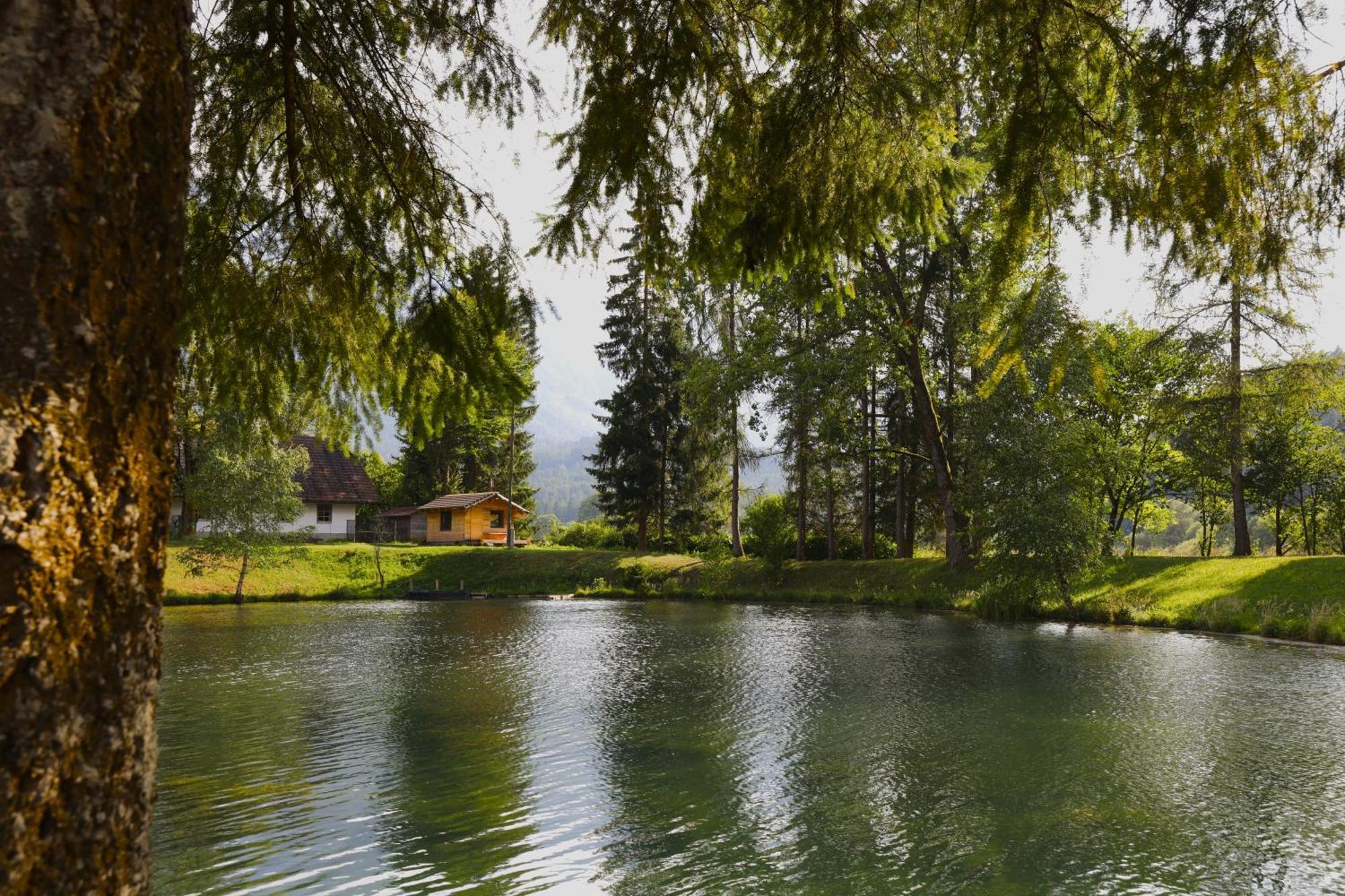 Апартаменти Haus Am Fischteich Feistritz ob Bleiburg Екстер'єр фото